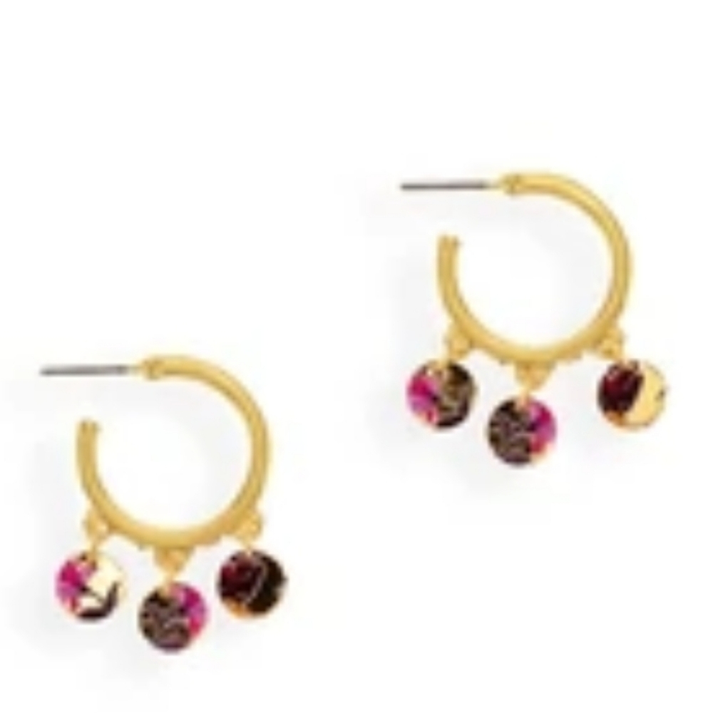 NWT Carol Dauplaise Multi Hoop Earrings